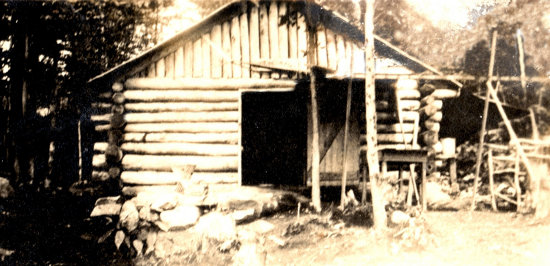 Log Cabin